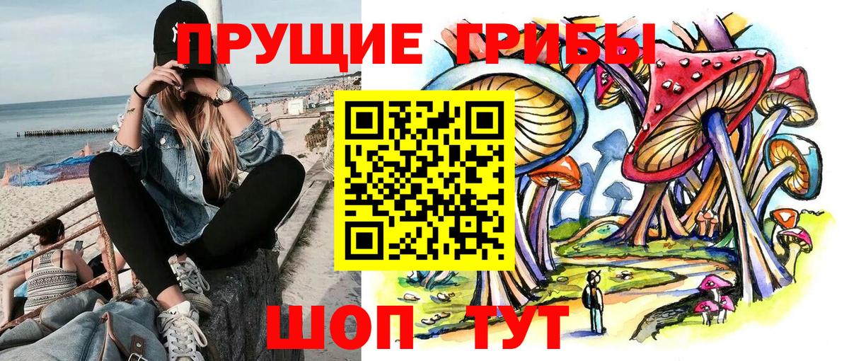 Луховицы  Галлюциногенные грибы Psilocybe  Вход с VPN 
